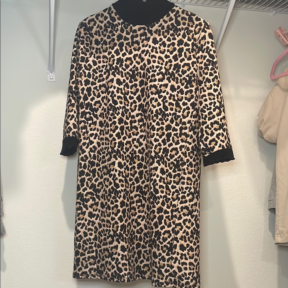 Zara Brown and Black 3/4 Sleeve Dress for Casual Nights
